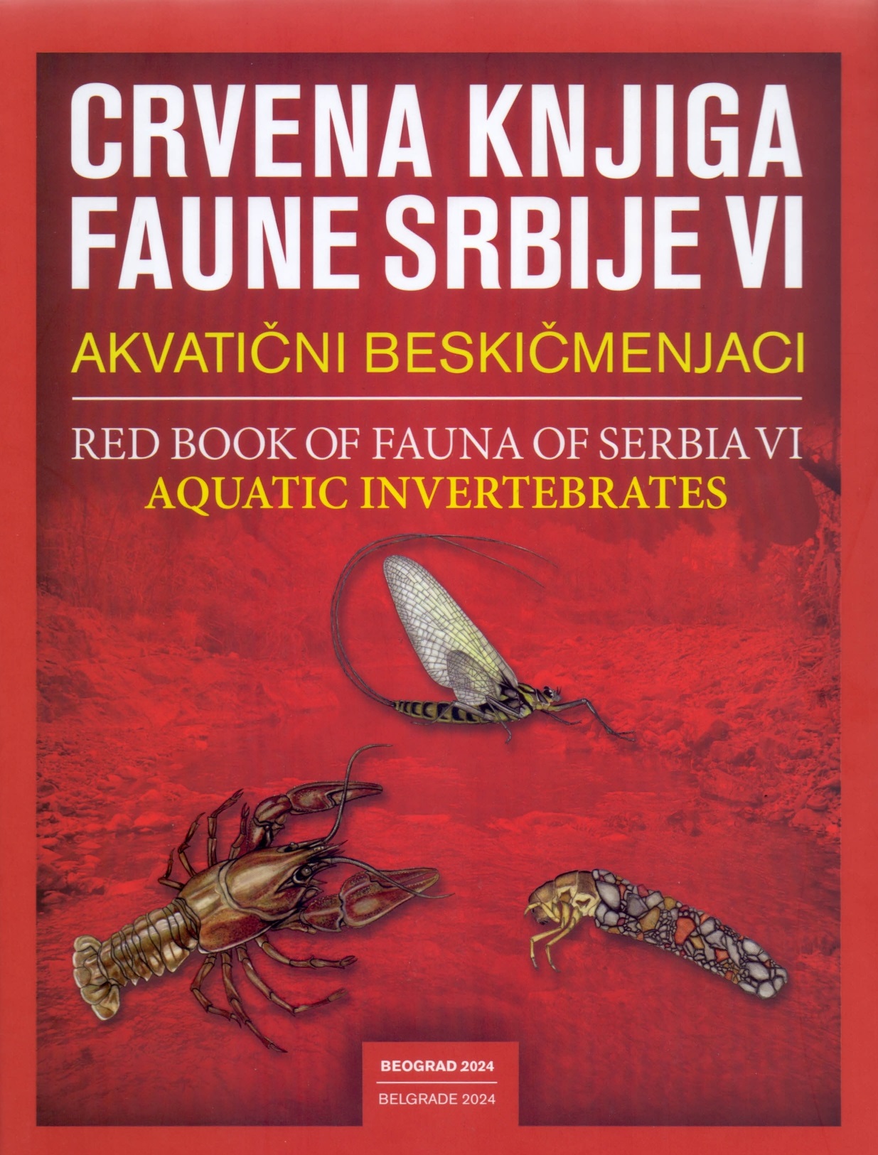 cidm izdanje