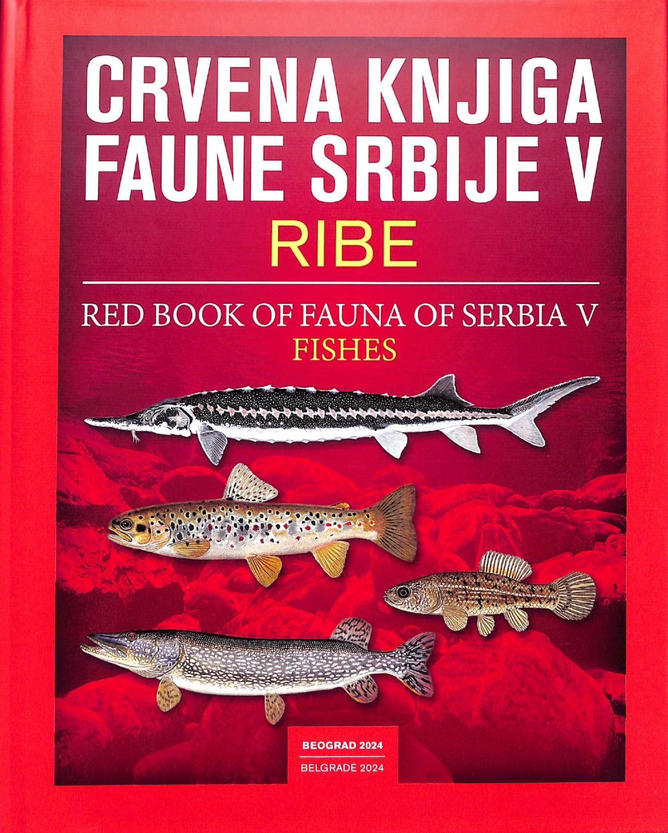 cidm izdanje