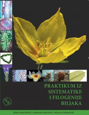 cidm izdanje